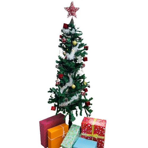 עץ אשוח 1.50 מטר מפואר