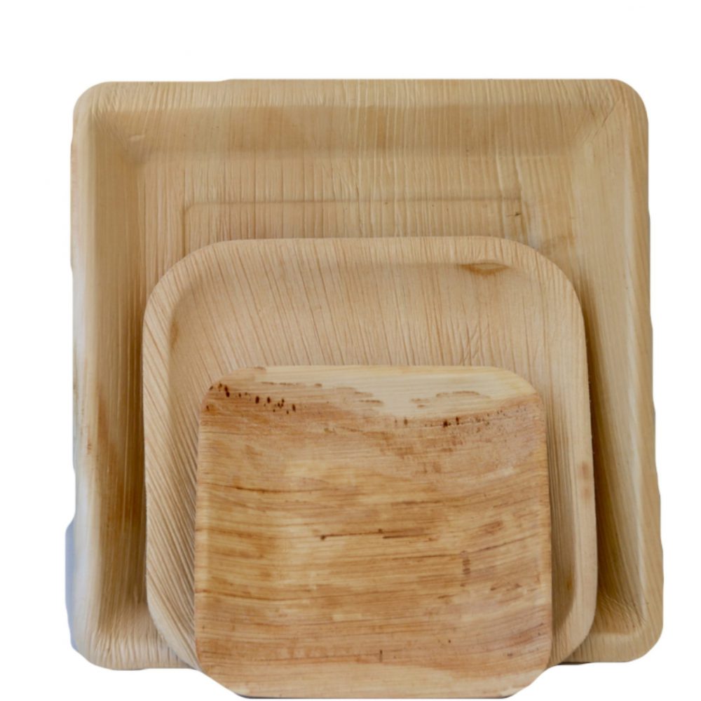 10 צלחות ריבוע מעלי דקל – 15 ס”מ