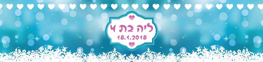 6 מדבקות לבקבוקים – מיתוג מסיבת מלכת הקרח
