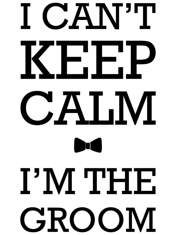חולצה – T004 i can’t keep calm i’m the groom