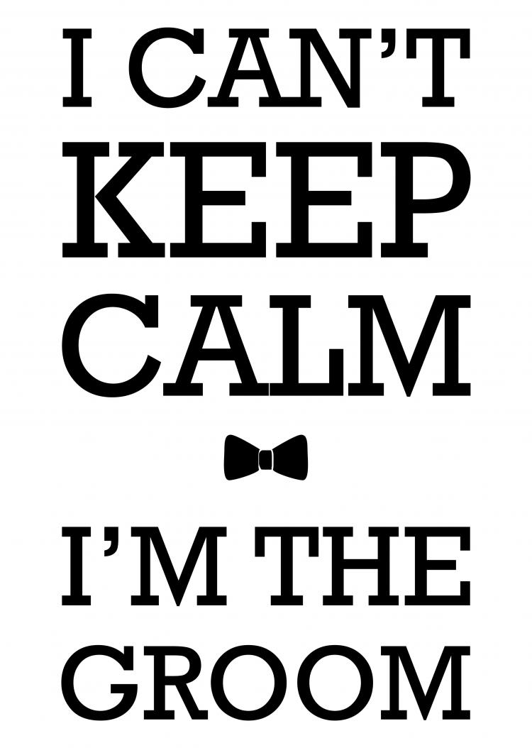 חולצה – T004 i can’t keep calm i’m the groom