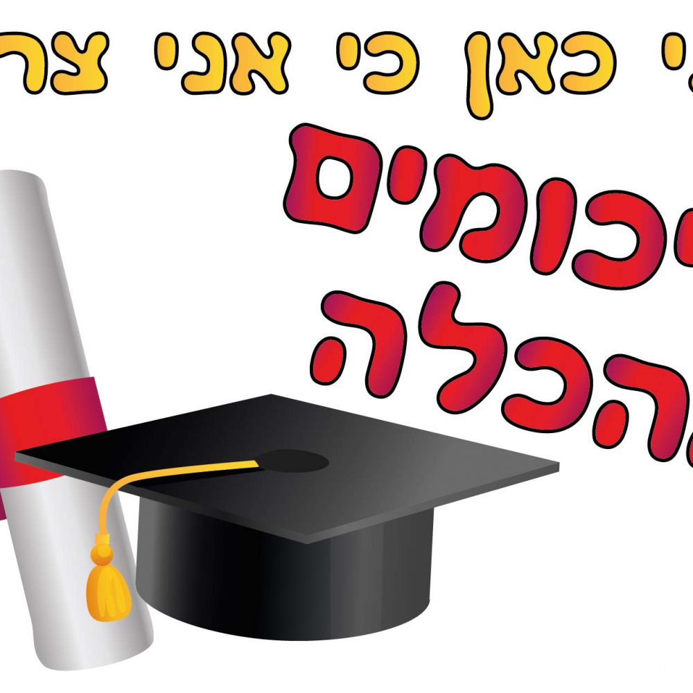 חולצה – T149 אני כאן כי אני צריך סיכומים מהכלה