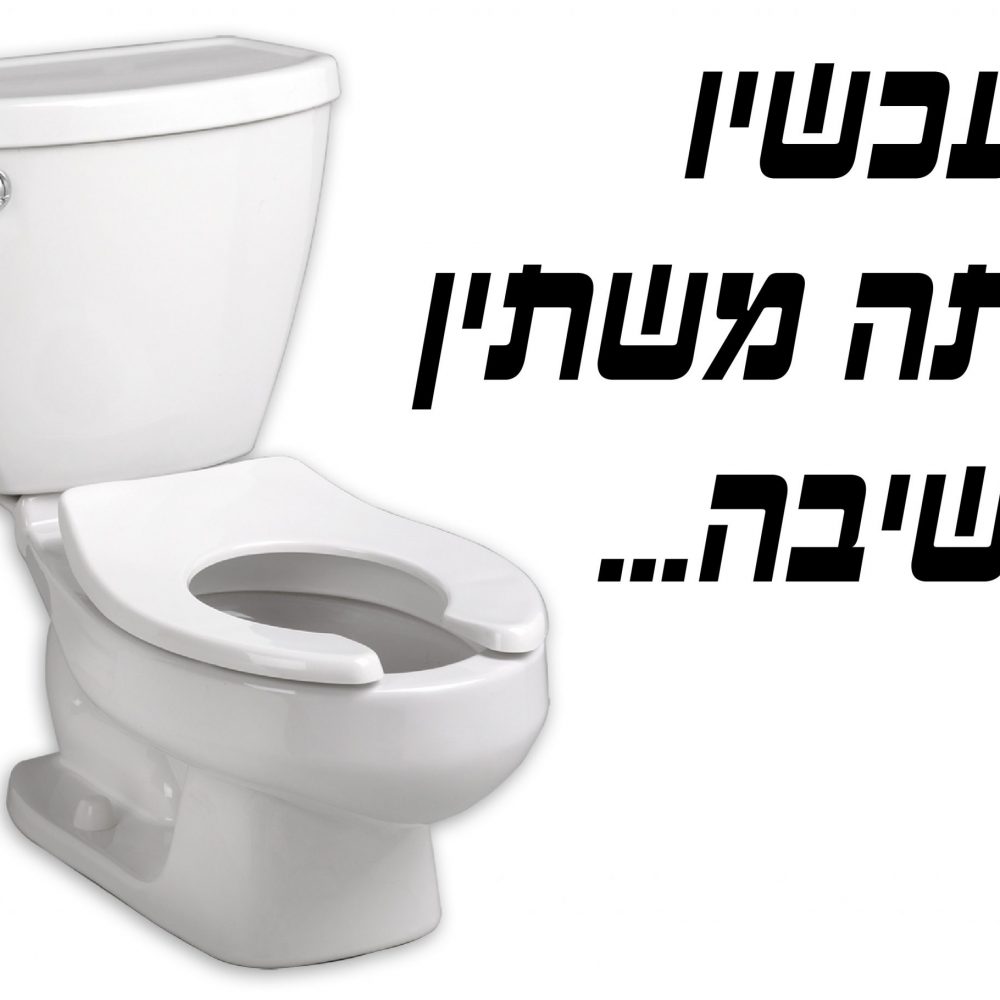 חולצה – T153 מעכשיו אתה משתין בישיבה