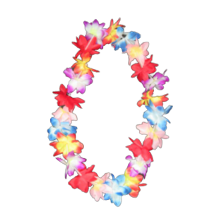 שרשראות הוואי צבעוניות גדולות