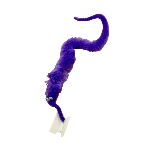 מארז 12 זחל זחלילי