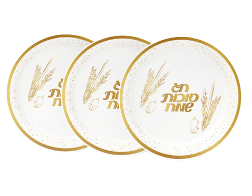 10 צלחות גדולות סוכות שמח