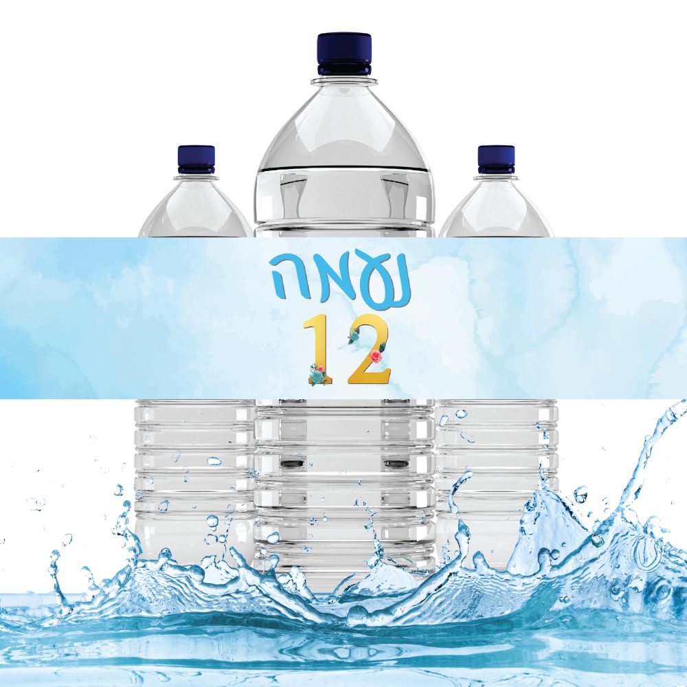6 מדבקות לבקבוקים בת מצווה בכחול וזהב