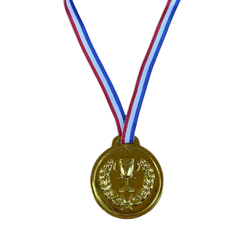 מארז 12 מדליות זהב