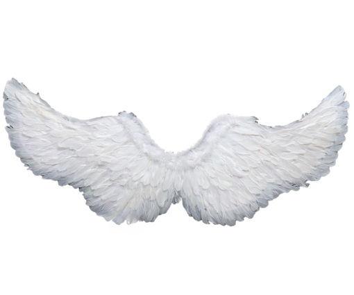 כנפיים מלאכית לבן 60×35 ס”מ