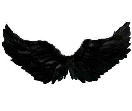 כנפיים מלאכית האופל שחור 60×35 ס”מ