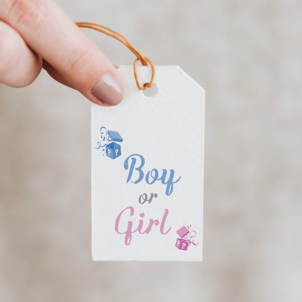 18 תויות לקשירה בעיצוב גילוי מין העובר רקע לבן