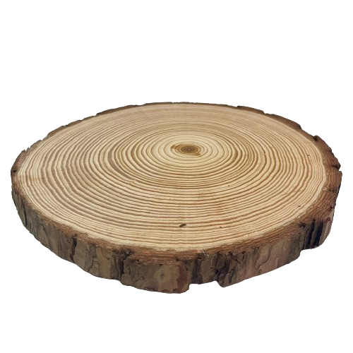 בוצ’ר עץ עגול עבה 20 ס”מ