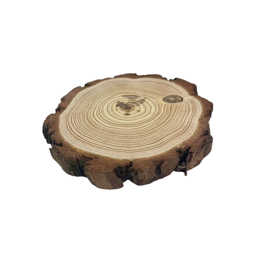 בוצ’ר עץ עגול עבה 15 ס”מ