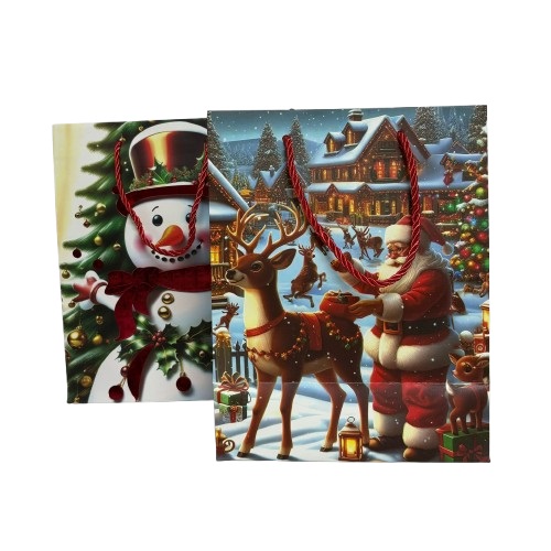 שקית מתנה לכריסמס