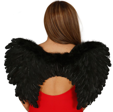 כנפי נוצות 60 ס”מ | שחור