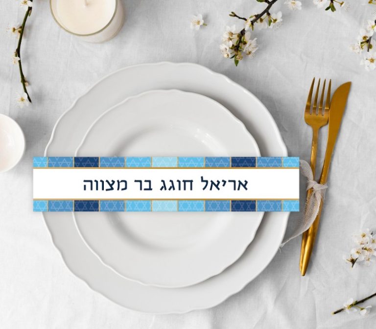 12 חבקי צלחות ממותגים | בר מצווה כחול זהב