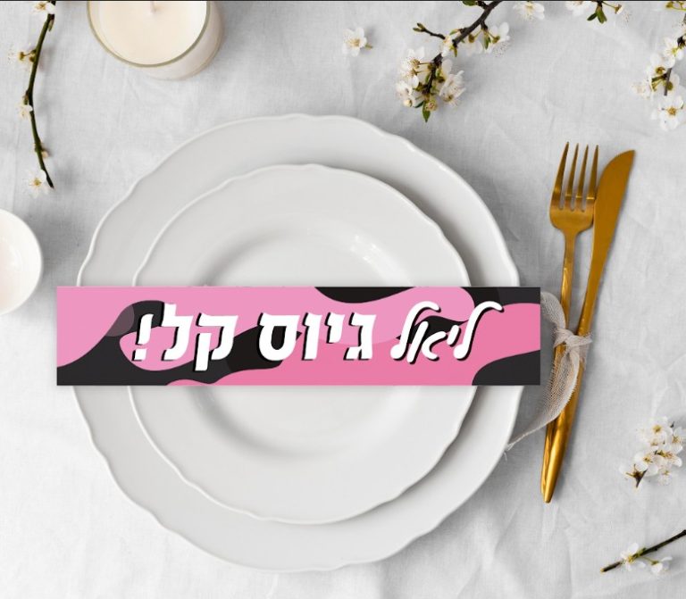 12 חבקי צלחות ממותגים | מסיבת גיוס ורוד