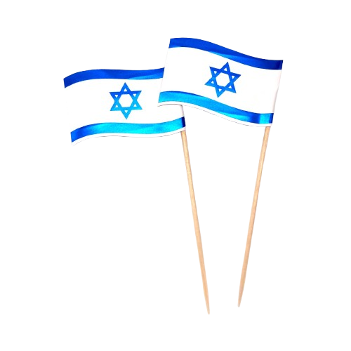 6 קיסמי דגל ישראל