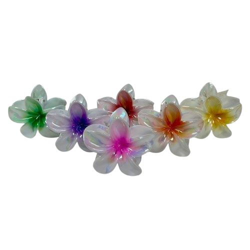 קליפסים גדולים צבעוני חצי לבן 8 ס”מ