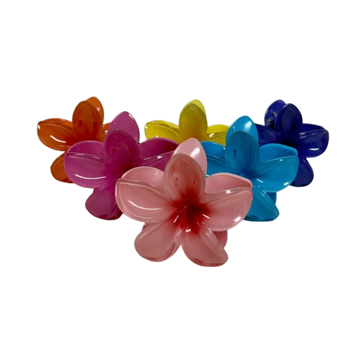 קליפסים גדולים צבעוניים 8 ס”מ